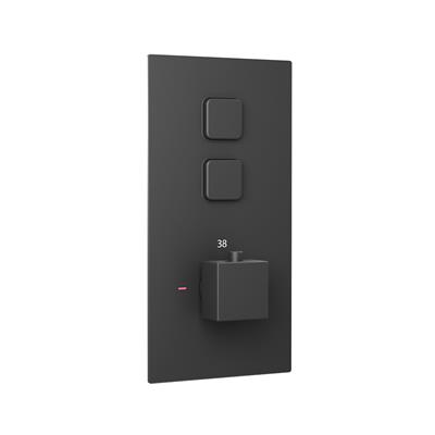 Concealed Thermostatic Shower Valve with Double Square Push Button - Matt Smooth Black